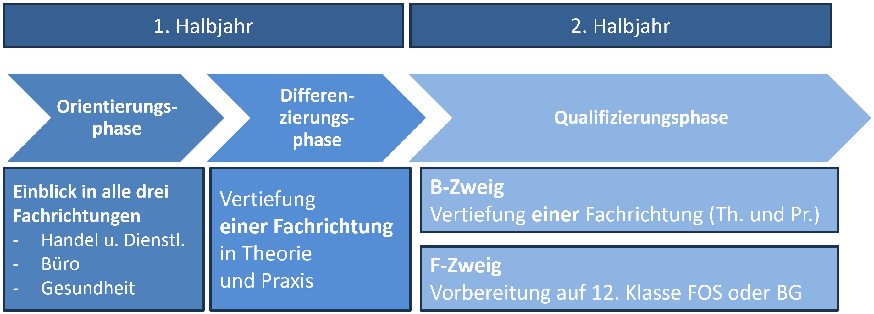 2023 11 15 Abb.BFSdual.Fachrichtungen