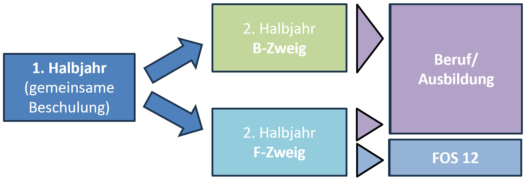 2023 11 15 Abb.BFSdual.Y Struktur