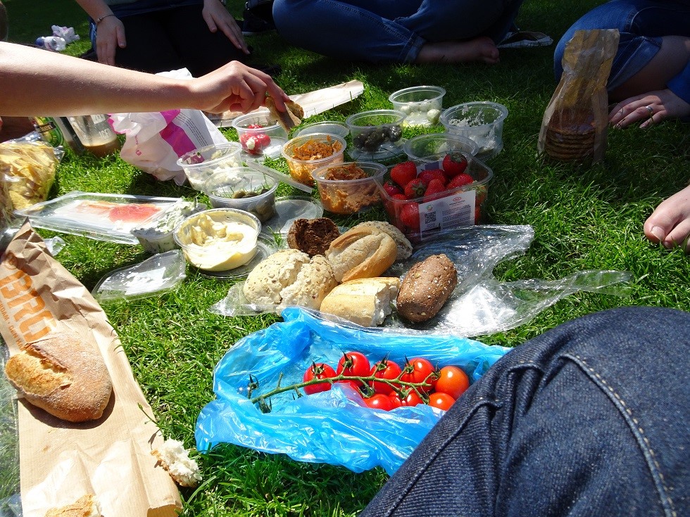 2016 06 22 Picknick 01