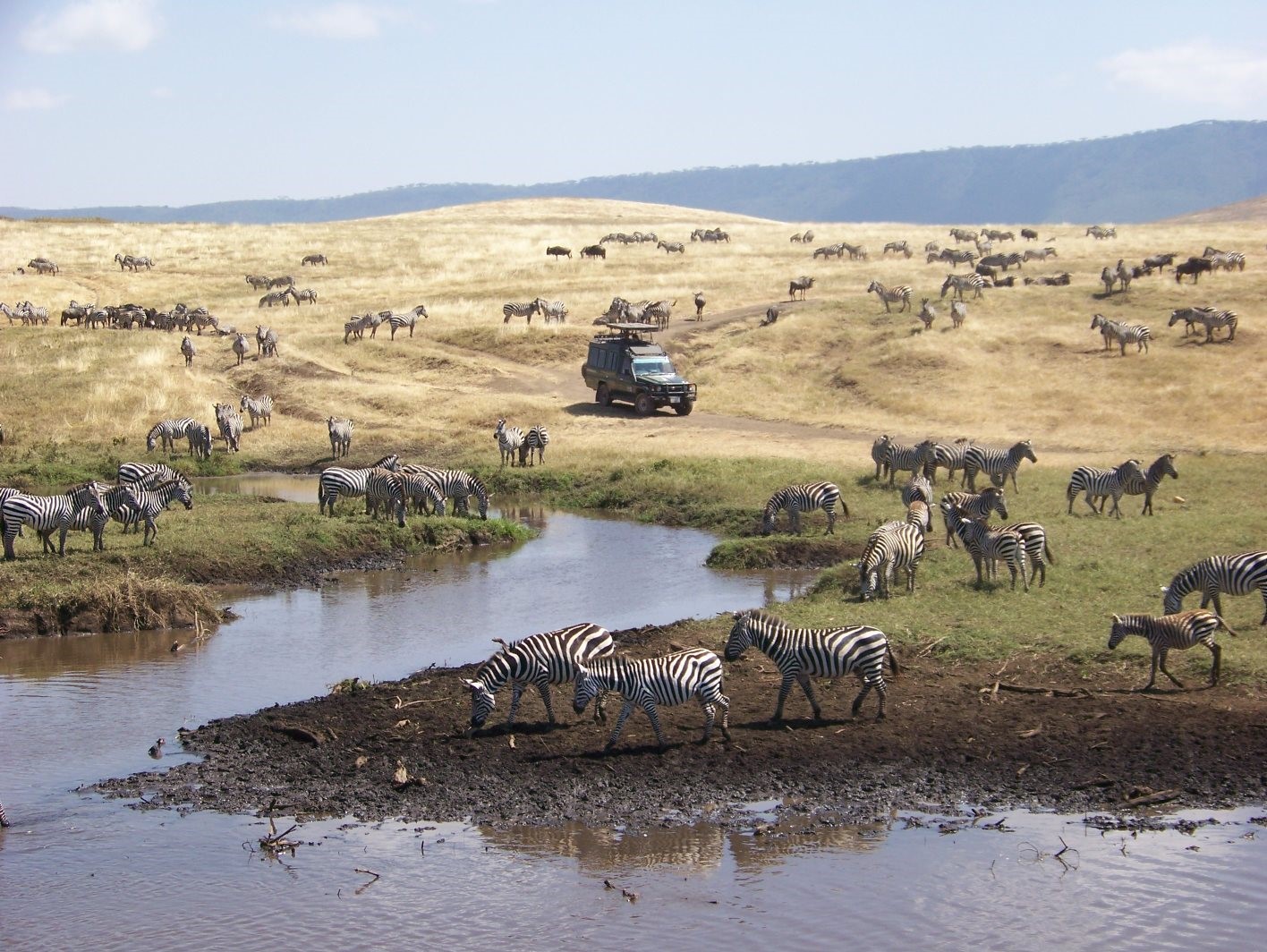 Bild aus Tansania: Ngorongoro Krater