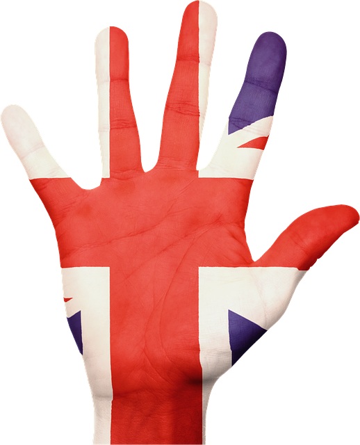 flag 636016 640